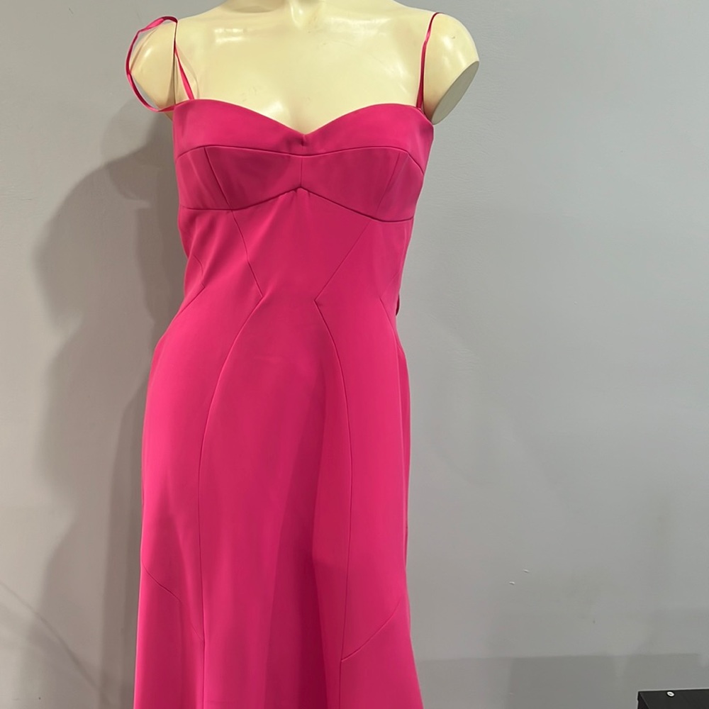 BCBG MaxAzria Strapless Pink Dress / Gown